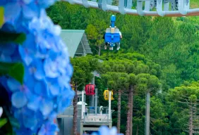 Imagem #3 do Pacote Gramado e Canela