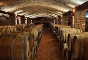 Imagem #5 do Pacote Colheita da Maçã + visita á vinícola em São Joaquim