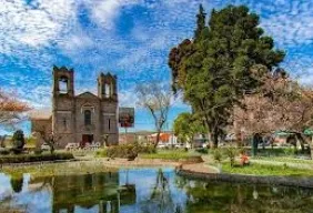 Imagem #6 do Pacote Colheita da Maçã + visita á vinícola em São Joaquim