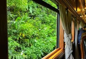 Imagem #4 do Pacote Trem Morretes - Bate e Volta