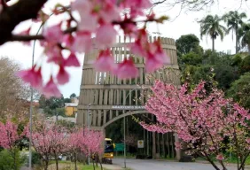 Imagem #1 do Pacote Bento Gonçalves - Cultura, Vinhos e Tradições 