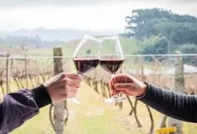 Imagem #2 do Pacote Bento Gonçalves - Cultura, Vinhos e Tradições 