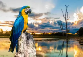 Imagem #1 do Pacote Expedição Pantaneira: De Bonito ao Pantanal