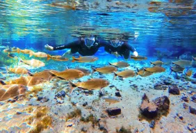 Imagem #3 do Pacote Expedição Pantaneira: De Bonito ao Pantanal