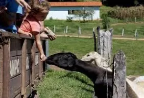 Imagem #5 do Pacote Trem Maria Fumaça Corupa X Rio Negrinho