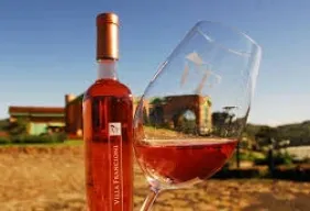 Imagem #4 do Pacote Encantos da Serra Catarinense - Ferias de Julho