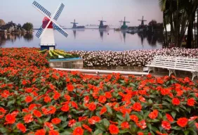 Imagem #3 do Pacote Encantos do Interior: Águas de Lindóia, Holambra e Monte Sião