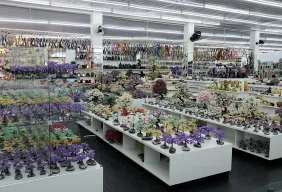 Imagem #10 do Pacote Ametista do Sul — Um Tesouro no Norte Gaúcho