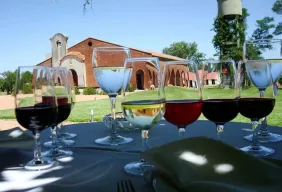 Imagem #7 do Pacote Uruguai Imperdível + Experiência em Vinícola