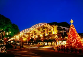 Imagem #3 do Pacote Serra Gaúcha Especial de Natal