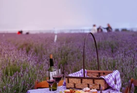 Imagem #2 do Pacote Carambeí Rota Holandesa e Encantos Naturais de Ponta Grossa