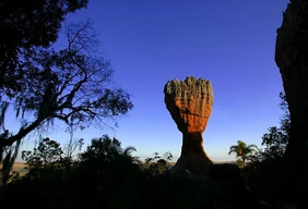 Imagem #4 do Pacote Carambeí Rota Holandesa e Encantos Naturais de Ponta Grossa