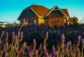 Imagem #7 do Pacote Carambeí Rota Holandesa e Encantos Naturais de Ponta Grossa