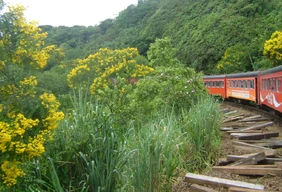 Imagem #10 do Pacote Trem Morretes - Bate e Volta