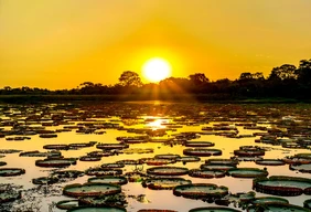 Imagem #3 do Pacote Expedição Pantaneira: De Bonito ao Pantanal