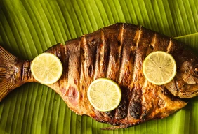 Imagem #7 do Pacote Expedição Pantaneira: De Bonito ao Pantanal