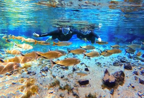 Imagem #8 do Pacote Expedição Pantaneira: De Bonito ao Pantanal