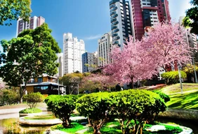 Imagem #8 do Pacote Curitiba Cultural + Trem Morretes