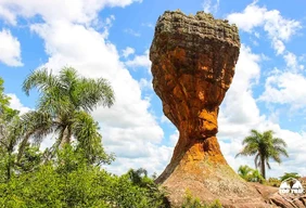 Imagem #5 do Pacote Carambeí Rota Holandesa e Encantos Naturais de Ponta Grossa
