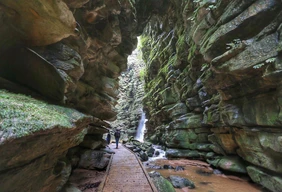 Imagem #6 do Pacote Carambeí Rota Holandesa e Encantos Naturais de Ponta Grossa
