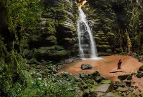 Imagem #8 do Pacote Carambeí Rota Holandesa e Encantos Naturais de Ponta Grossa
