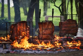 Imagem #5 do Pacote Machadinho Thermas Resort