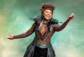 Imagem #9 do Pacote Cirque du soleil - Espetáculo ALEGRIA