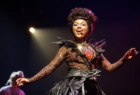 Imagem #3 do Pacote Cirque du soleil - Espetáculo ALEGRIA