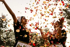 Imagem #1 do Pacote Festival das Flores de Holambra