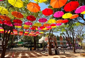 Imagem #3 do Pacote Festival das Flores de Holambra