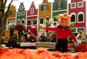 Imagem #4 do Pacote Festival das Flores de Holambra