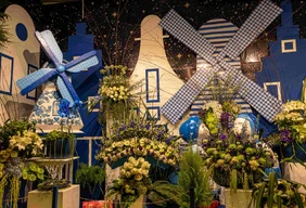 Imagem #7 do Pacote Festa das Flores de Holambra