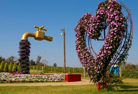 Imagem #10 do Pacote Festa das Flores de Holambra