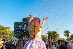 Imagem #2 do Pacote Festa das Flores de Holambra 