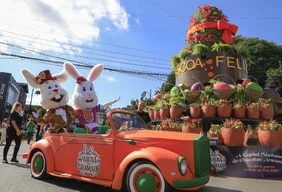 Imagem #8 do Pacote Gramado e Canela especial de Páscoa