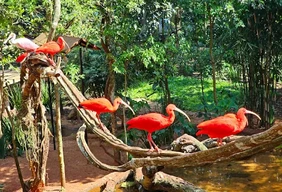 Imagem #2 do Pacote Foz do Iguaçu - Especial de Páscoa