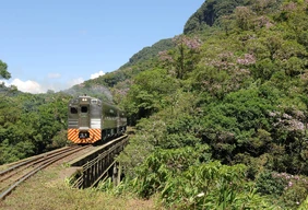 Imagem #3 do Pacote Curitiba Cultural + Trem Morretes