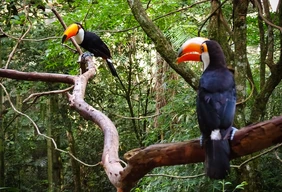 Imagem #3 do Pacote Foz do Iguaçu + Compras no Paraguai