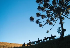 Imagem #11 do Pacote Gramado e Canela + São Francisco de Paula