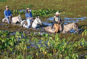 Imagem #14 do Pacote Pantanal