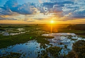 Imagem #16 do Pacote Pantanal