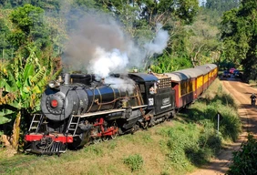 Imagem #1 do Pacote Maria Fumaça Corupá x Rio Negrinho