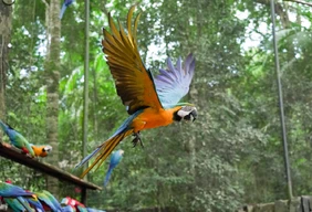 Imagem #10 do Pacote Foz do Iguaçu + Compras no Paraguai