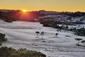 Imagem #2 do Pacote SERRA CATARINENSE
