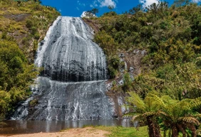 Imagem #4 do Pacote SERRA CATARINENSE