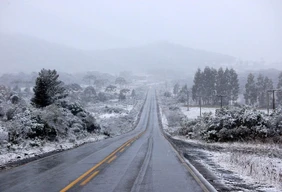 Imagem #9 do Pacote SERRA CATARINENSE