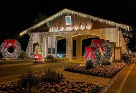 Imagem #4 do Pacote Gramado e Canela - Bate e Volta Abertura Natal Luz 2026