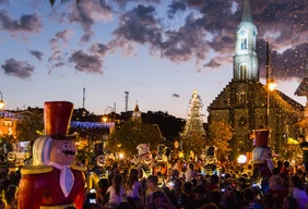 Imagem #7 do Pacote Gramado e Canela - Bate e Volta Abertura Natal Luz 2026
