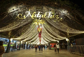 Imagem #8 do Pacote Gramado e Canela - Bate e Volta Abertura Natal Luz 2026