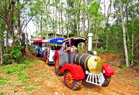 Imagem #5 do Pacote Ametista do Sul